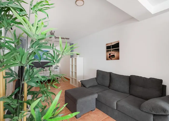 Vv Timon * 莫甘海滩